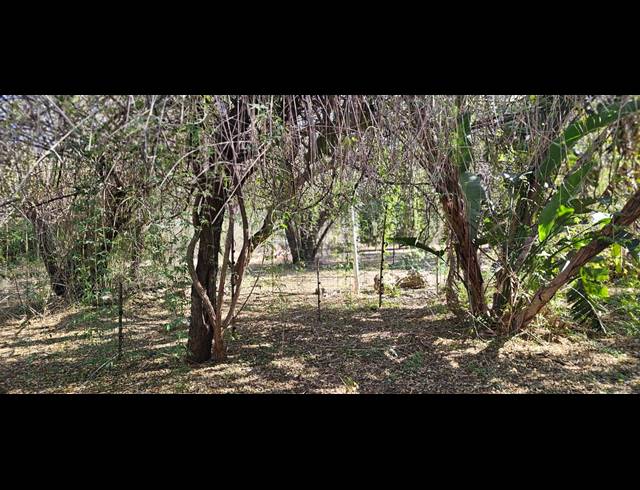 4.10HA SMALLHOLDING FOR SALE IN RENOSTERFONTEIN AH